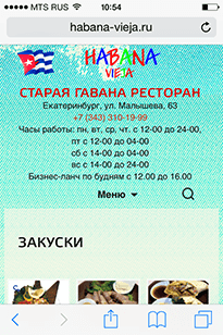 Скриншот мобильного сайта